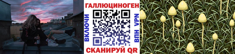 Галлюциногенные грибы мицелий  где купить   Мантурово 